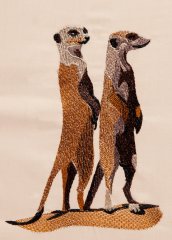 Small Animals