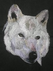 Wolves & Bears
