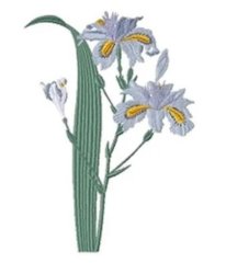 Flowers RM