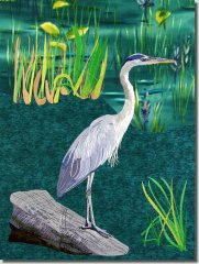 Water Birds