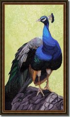 Peacocks