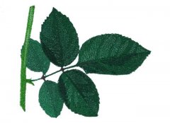 Trees and Foliage
