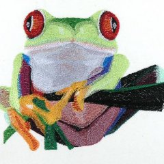 Reptiles & Amphibians