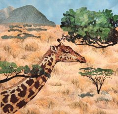 African Animals