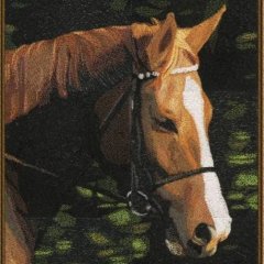 Horses FS