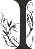 BFC32270  Black Alpha I