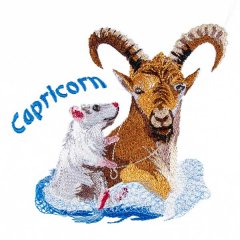 BFC31535 Capricorn