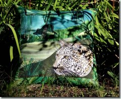 BFC01002 Safari Series-Leopard