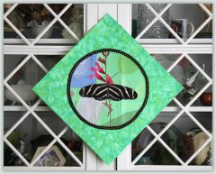 BFC1039 Window Zebra Longwing Butterfly