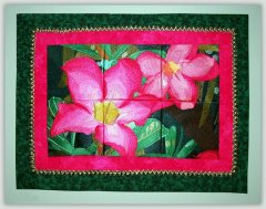 BFC1042 Window-Desert Roses