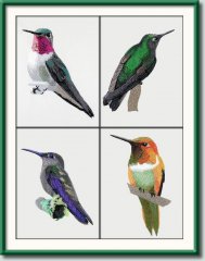 BFC1073 Four Hummingbirds