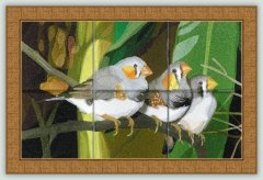 BFC1098 Window-Three Finches
