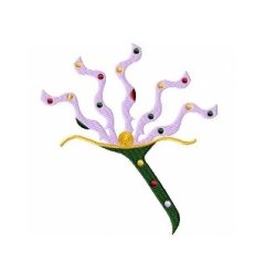 RMG10  Penny Candy Flower