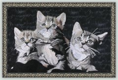 BFC1100 Large Kittens
