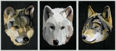 BFC1122 Three Wolves