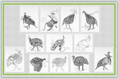 BFC1140 D.E.S-Blackwork Guinea Hens