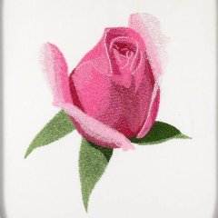 BFC31760 Four Roses no.2