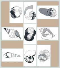 BFC1153 Blackwork Seashells