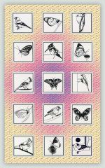 BFC1155 QIH Blackwork Birds and Butterflies Quilt Blocks