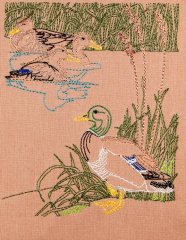 BFC1157 Color Sketches by the Shore - 2-01