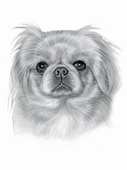 RMG1214  Gloria