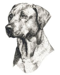 RMG1218  Jack