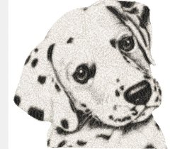 RMG1226  Spots