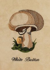 BFC1226 A Dozen Mushrooms 11