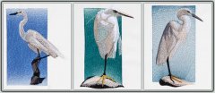 BFC1257 Three Egrets