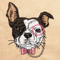 Hipster Canine 7