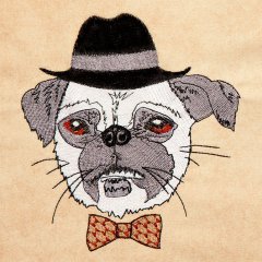 Hipster Canine 9