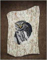 BFC1403 Large Pygmy Owl