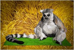 BFC1418 Large Sleeping Lemur