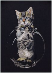 BFC1456C Large Kitten in a Bowl