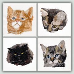 BFC1460 Four Kitten Portraits