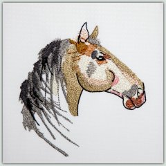 BFC1467 Three Fantasy Horse Portraits