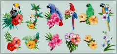 BFC1507 Tropical Birds and Flowers
