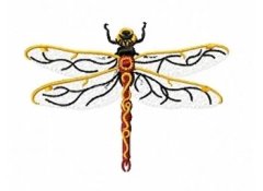 RMG151 Dragon Fly