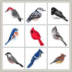 BFC1523 FSL Winter Birds