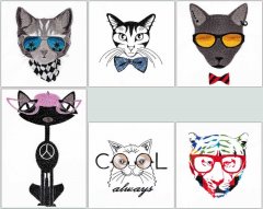 BFC1548 Cool Cats