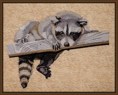 BFC1600 Large Baby Raccoon