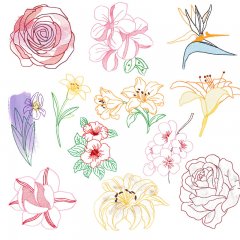 BFC1619 Embellished Floral Outlines