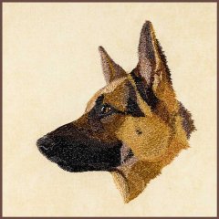 BFC30389 German Sheperd