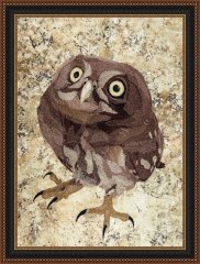 BFC1649 Large Baby Owl