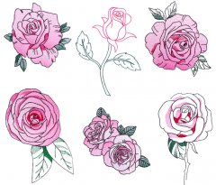 BFC1724 Decorative Roses