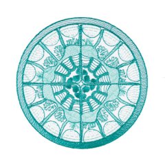 BFC1754 Ernst Haeckel's Ocean Quilt Blocks - 05