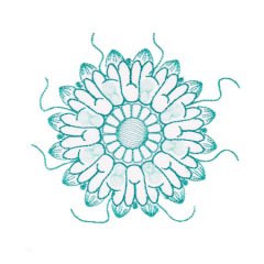 BFC1754 Ernst Haeckel's Ocean Quilt Blocks - 08