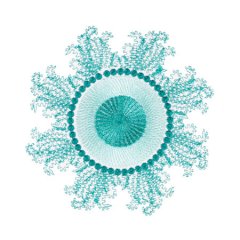 BFC1754 Ernst Haeckel's Ocean Quilt Blocks - 10