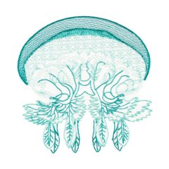BFC1754 Ernst Haeckel's Ocean Quilt Blocks - 11