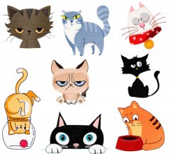 BFC1757 Cat Expressions